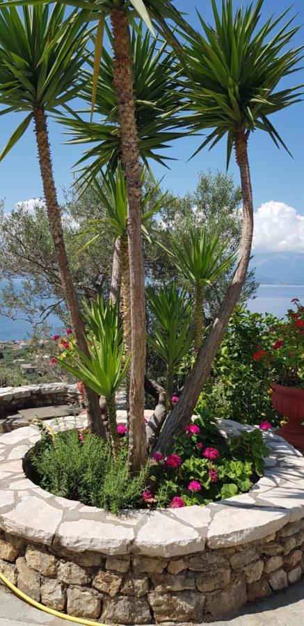 Margherita'S Holidays Home Agios Spyridon  外观 照片